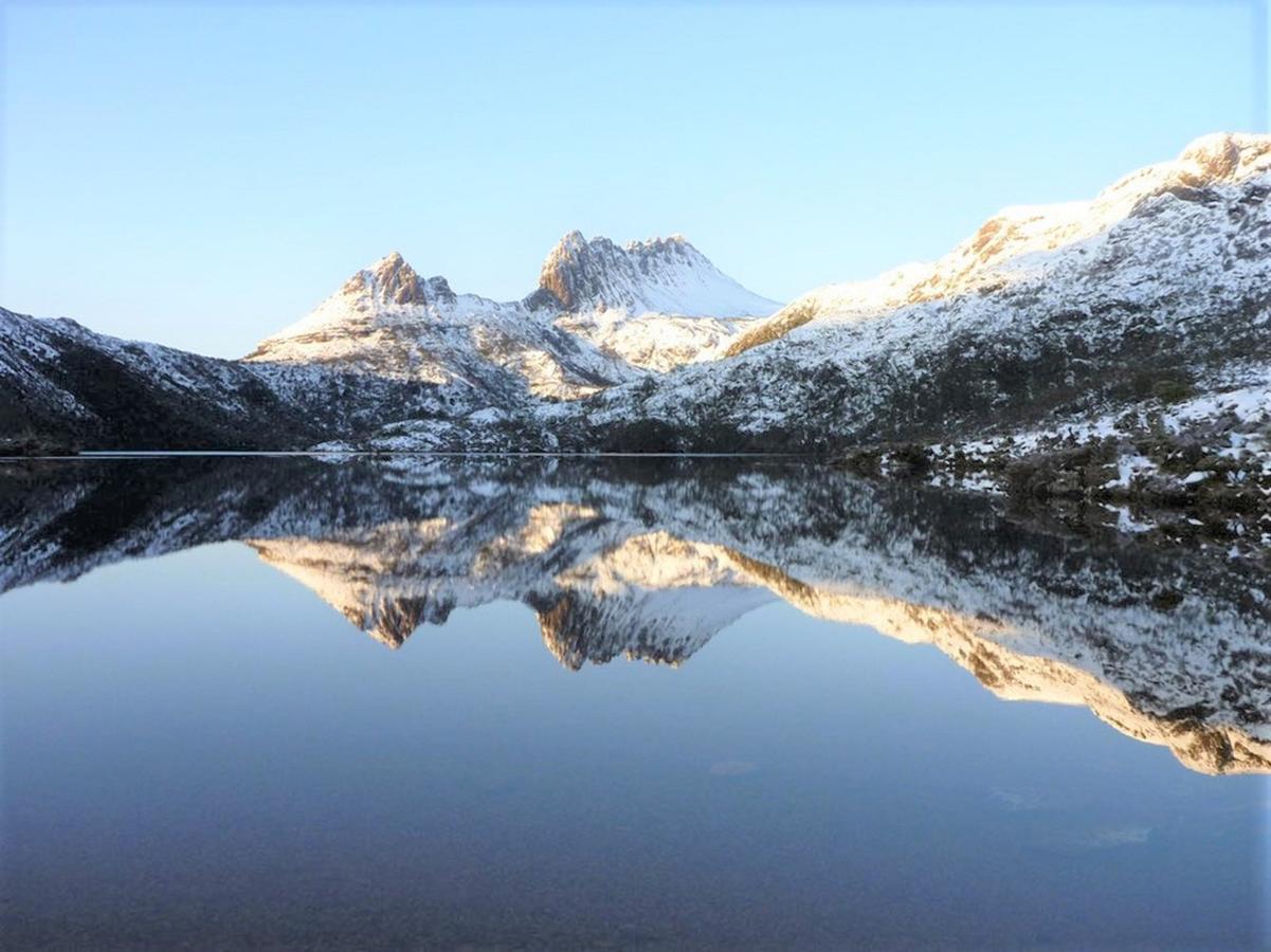 Cradle Alpine Retreat Bed & Breakfast Moina Екстериор снимка